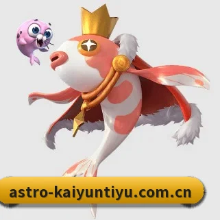 开云体育官网 APP